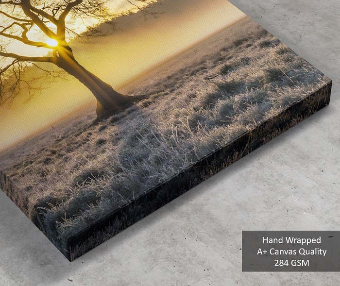 closeup quality of canvas - sunlight through tree art on canvas