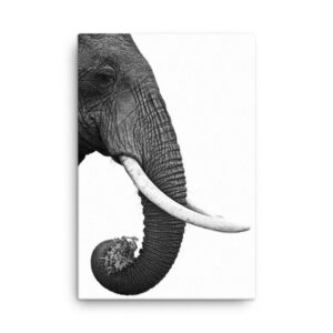 Elephant Scandinavian Style Wall Art HD Portrait