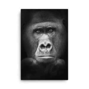Gorilla Wall Art HD Portrait