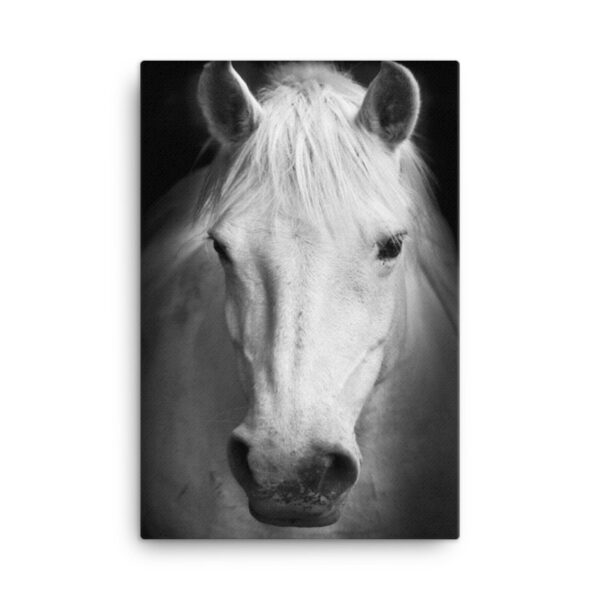 Legendary Horse Wall Art HD Portrait