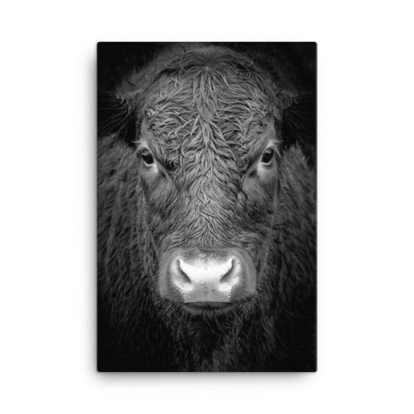 Keep Persistence – Taurus Bull Inspiration Wall Art