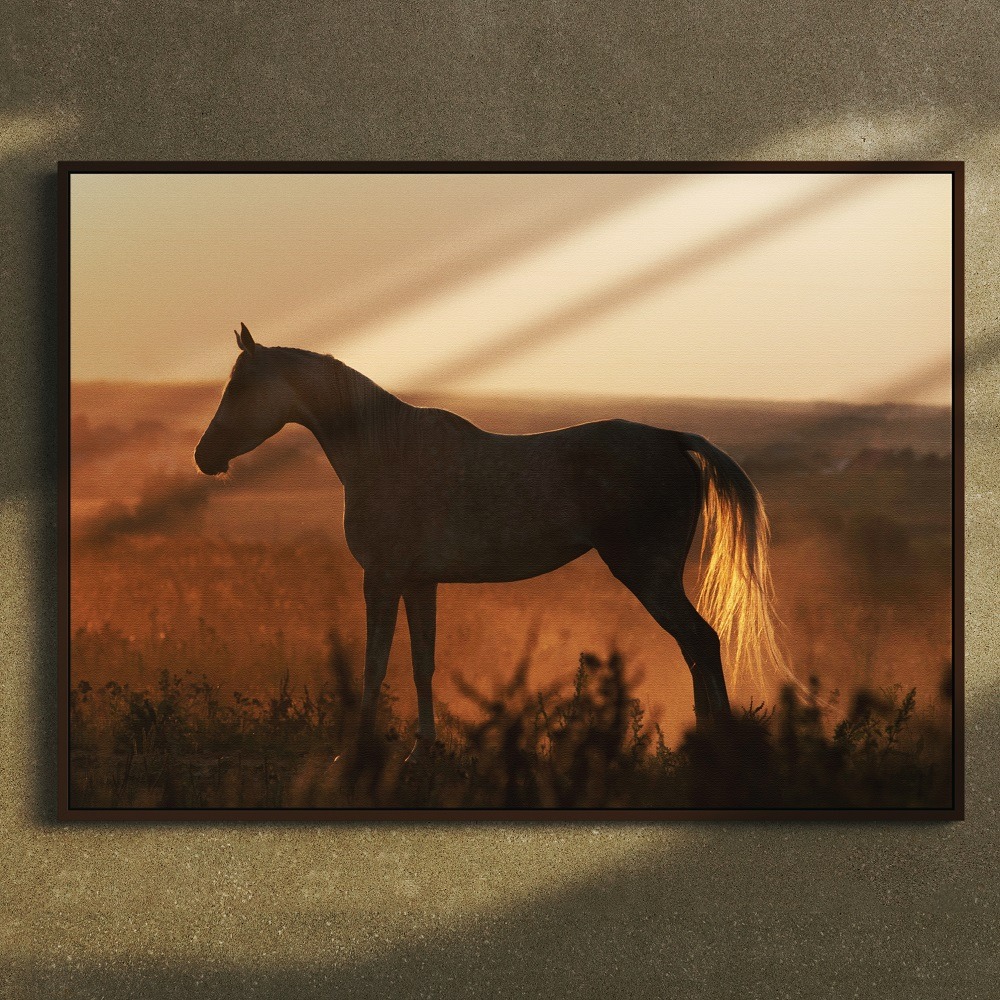 Horse in the field during sunset