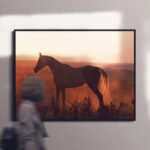 Horse in the field during sunset