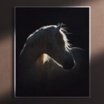 White Camargue Horse