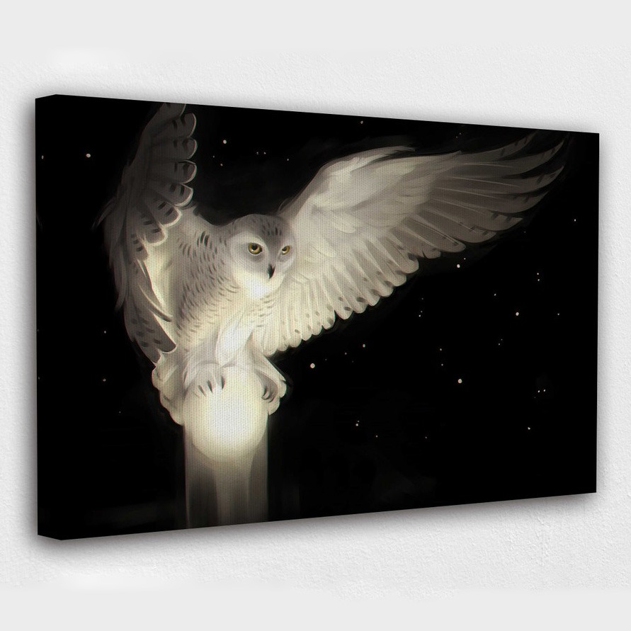 White Owl in Silent Flight v Design | Poster Print Decor for Home & kids room Decoration