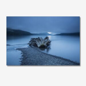 Broken Tree in Lonely Cold world Mountains and Lake Canvas Print