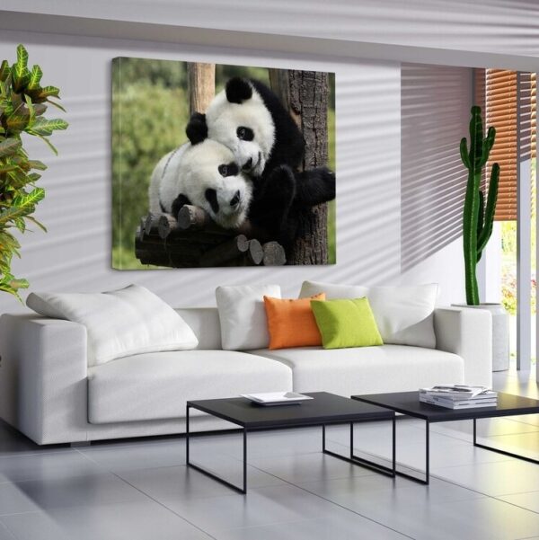 Cute Panda Bears on a tree branch canvas art