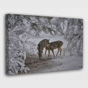 Deer couples in snowy winters canvas wall print