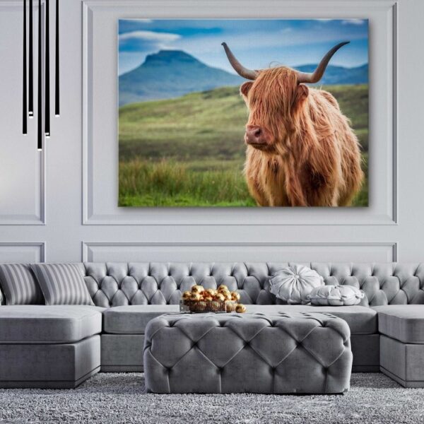 Hairy Heilan Highland Cow Canvas Wall Art Print