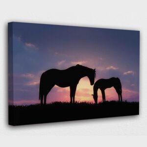 Horse with his Foal in a Sunset Silhouette Canvas Wall Art