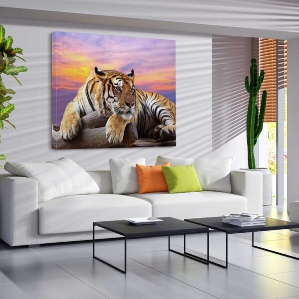 Indian Tiger sitting on a Tree Branch during Sunset Canvas Wall Art