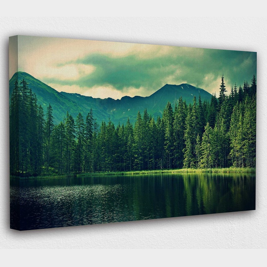 Lush green forest with serene mountain and lake view canvas art