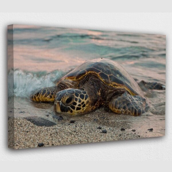 Sea Turtle on the Beach Canvas Wall Art