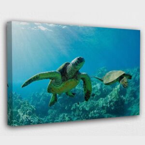Sea Turtles swimming underwater Canvas Wall Art