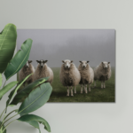 Sheep herd canvas art print