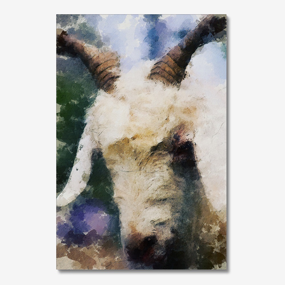 White goat painting canvas art