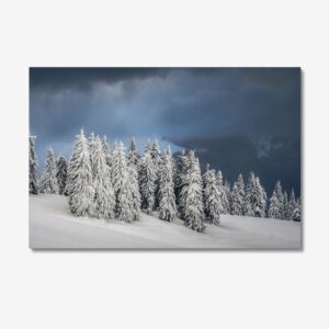 Winter Landscape with Pine trees Covered in Snow Canvas Print