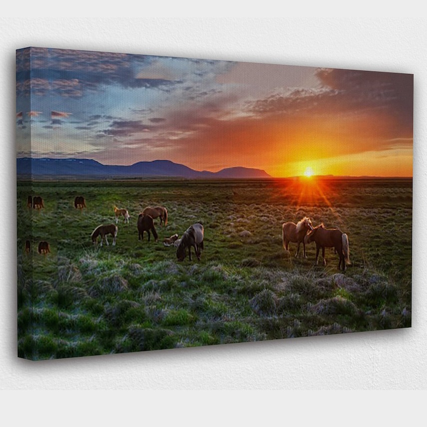 Horses eating grass at sunset canvas print