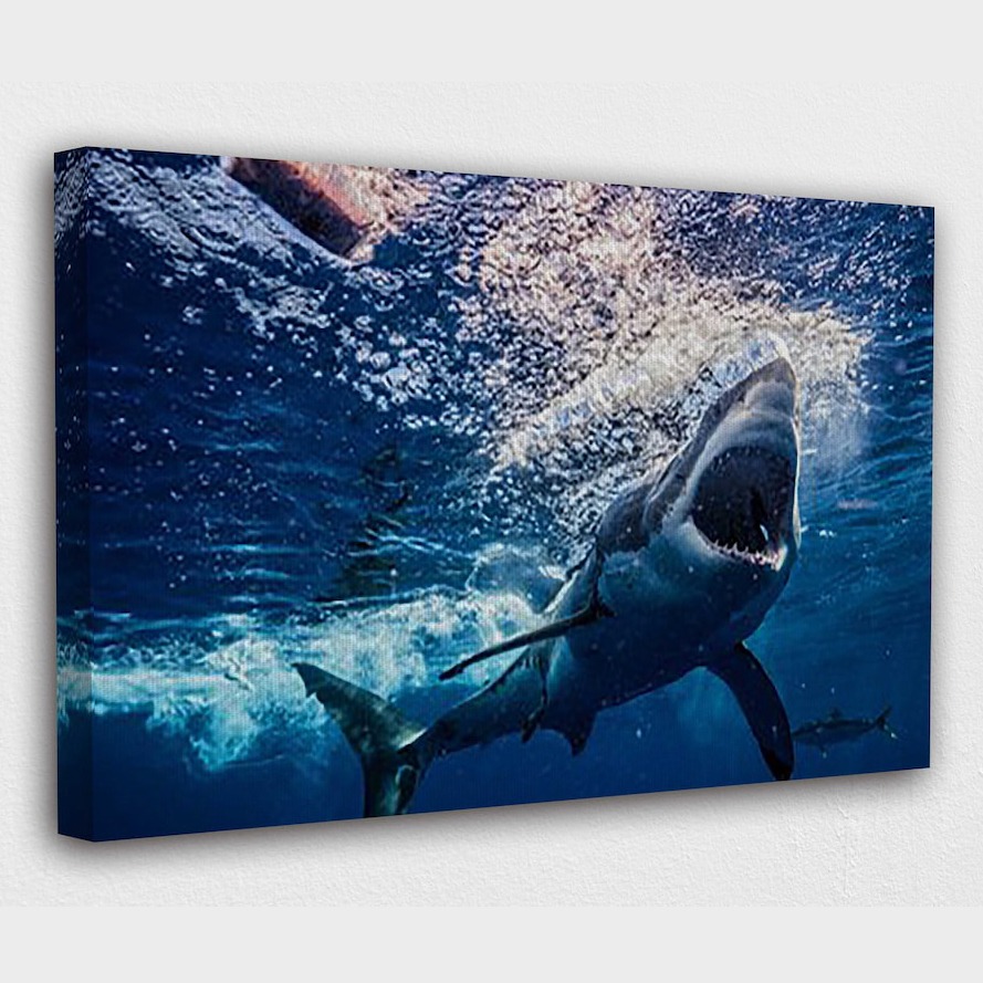 Underwater White Shark Aggressive Canvas Wall Print