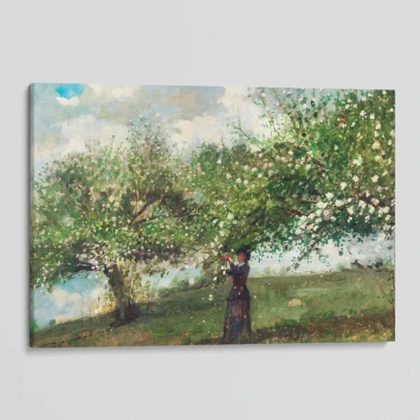 Girl picking apple blossoms