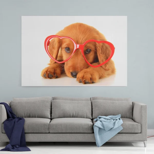 Cute Dog Retriever Wearing Glasses