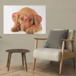 Cute Dog Retriever Wearing Glasses