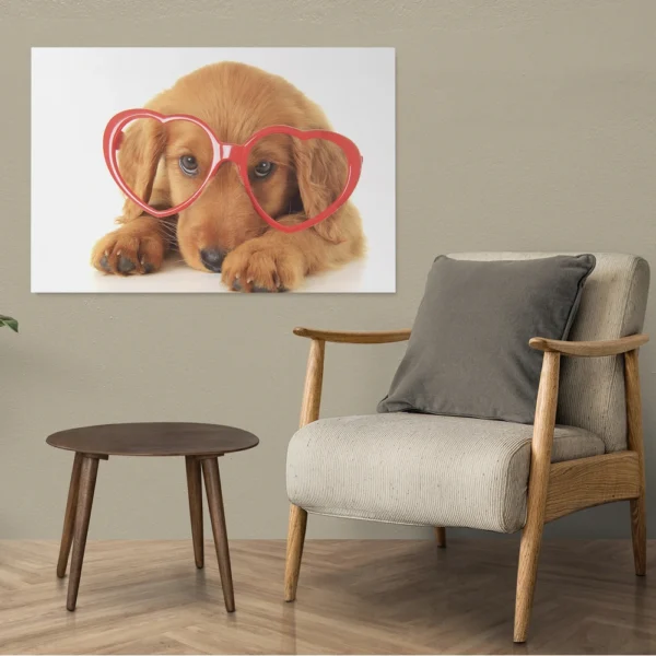 Cute Dog Retriever Wearing Glasses