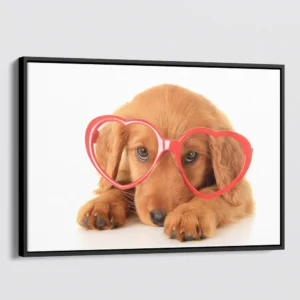 Cute Dog Retriever Wearing Glasses