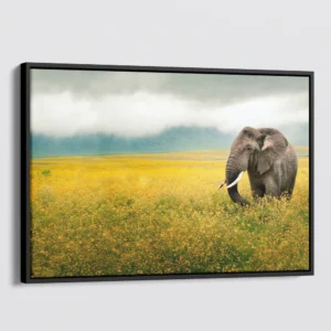 Elephant in a Field of Yellow Flowers