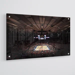 Madison Square Garden New York Knicks Stadium