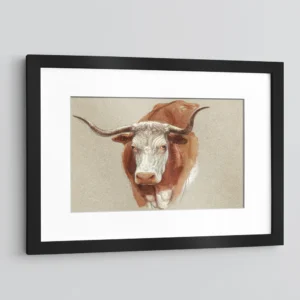 Vintage Ox Drawing