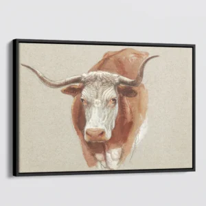 Vintage Ox Drawing