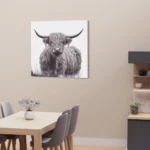 Highland Hairy Cow